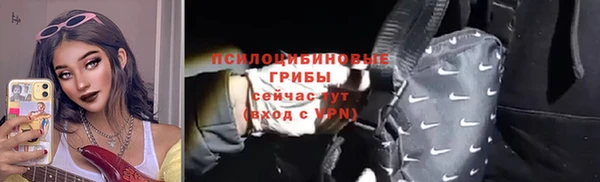 jwh Гусь-Хрустальный