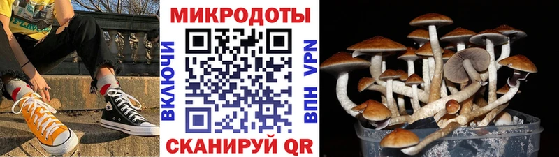 Псилоцибиновые грибы мухоморы Купить закладки Кандалакша
